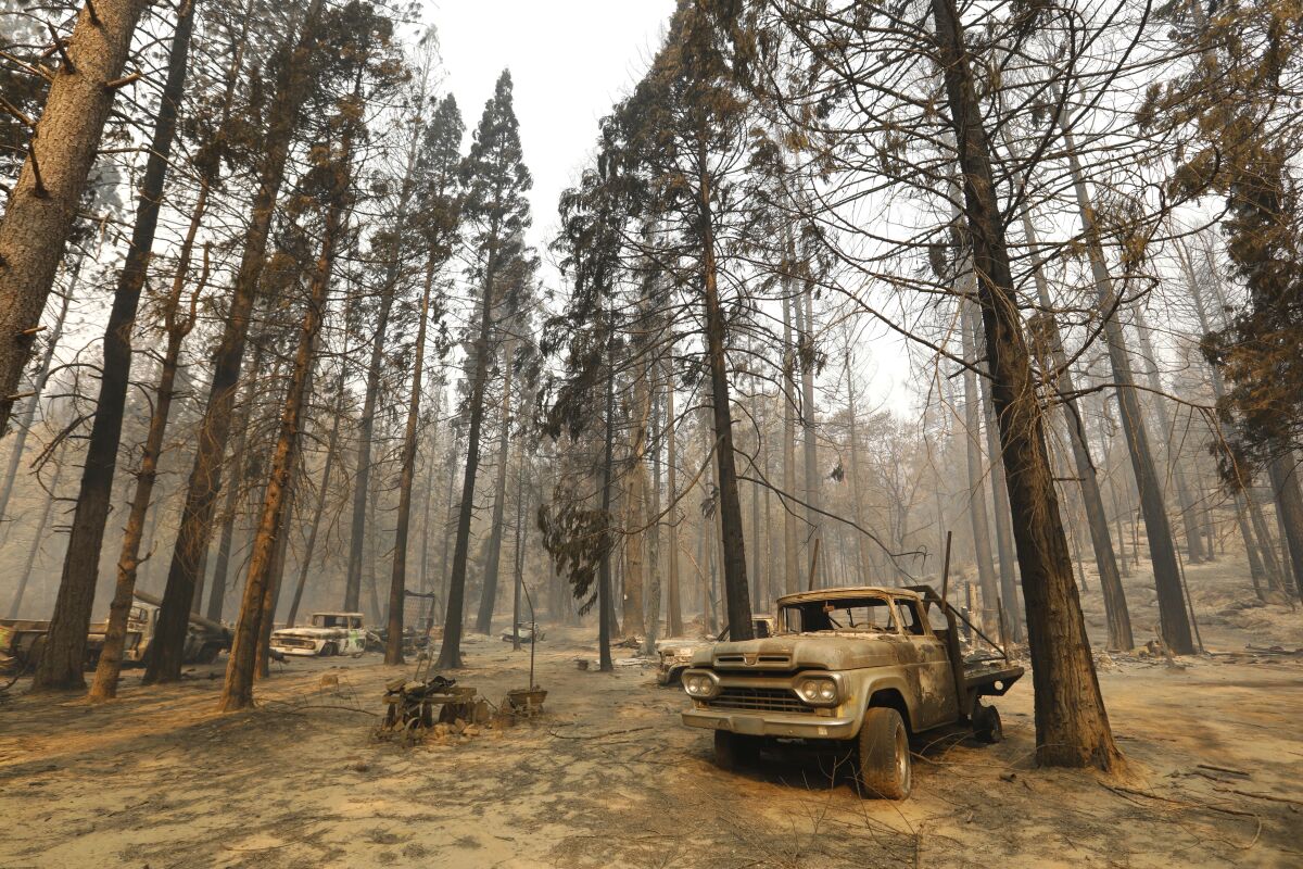 Several burnt vehicles and charred tree trunks are what's left of a homestead after the North Complex fire in September. 