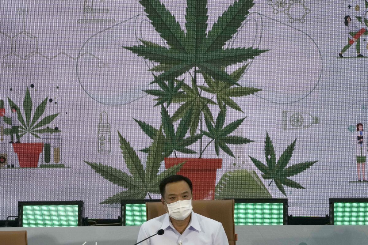 Thailand's Public Health Minister Anutin Charnvirakul speaks at a news conference at the Public Health Ministry in Nonthaburi, Thailand, Tuesday, Feb. 8, 2022, after signing a measure that drops cannabis from his ministry's list of controlled drugs. The action amounts to decriminalizing marijuana, which is a form of cannabis, but production and possession of it remains partially regulated. (AP Photo/Sakchai Lalit)