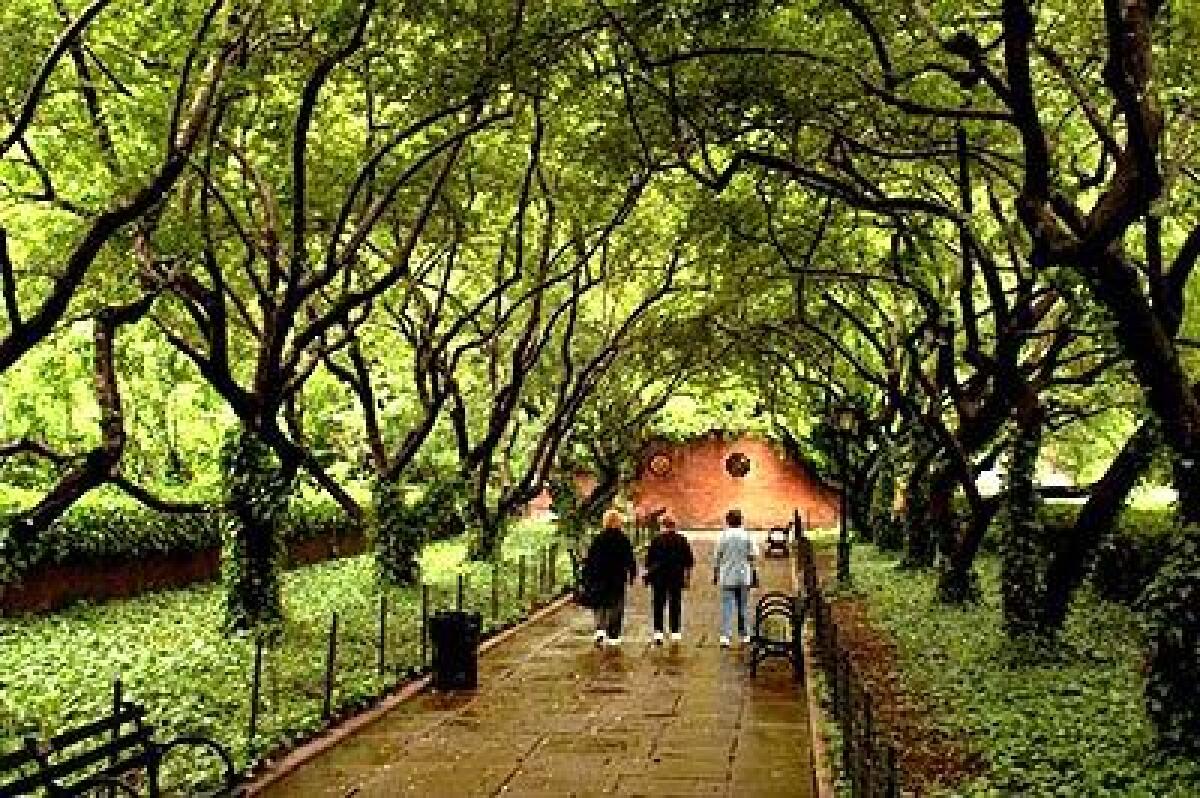 Like an emerald tunnel, the crab apple arches at Central Parks Conservatory Garden beckon three strollers.