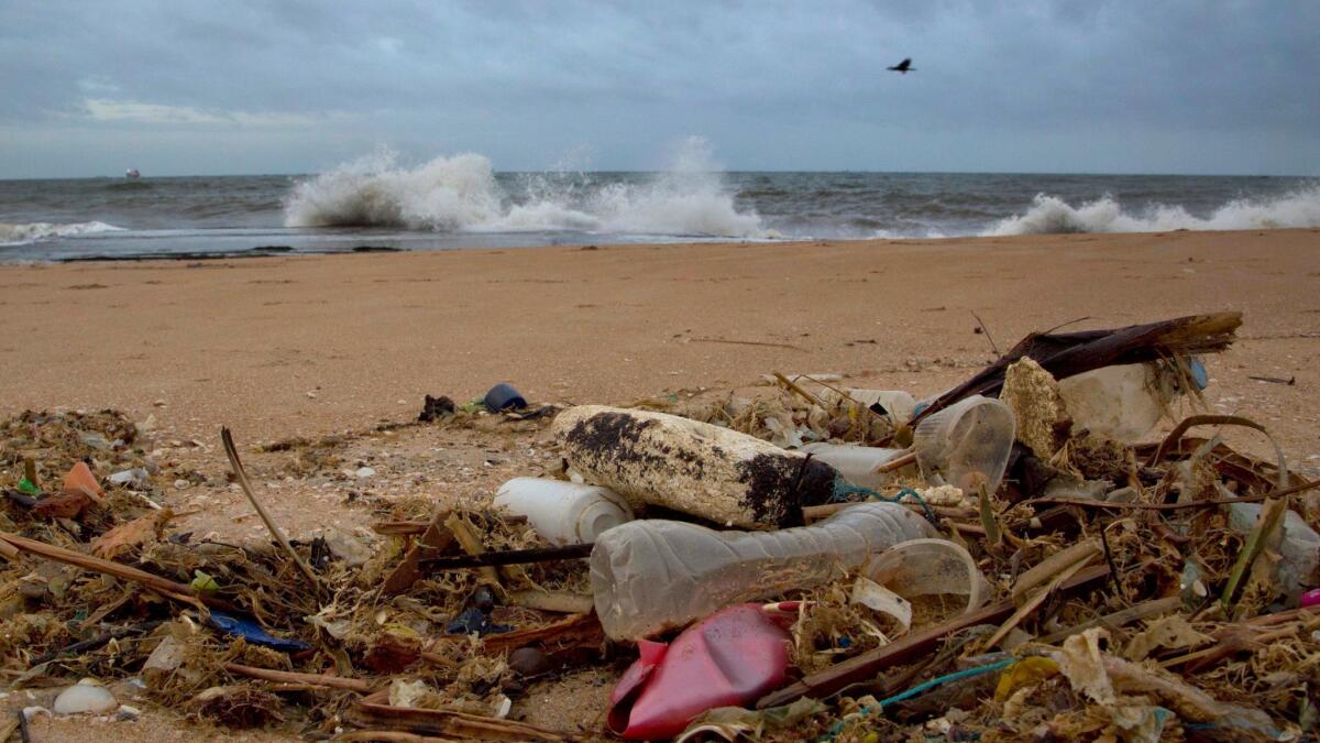 A plastic bottle lies among other debris washed ashore on an Indian Ocean beach in Uswetakeiyawa, Sri Lanka.