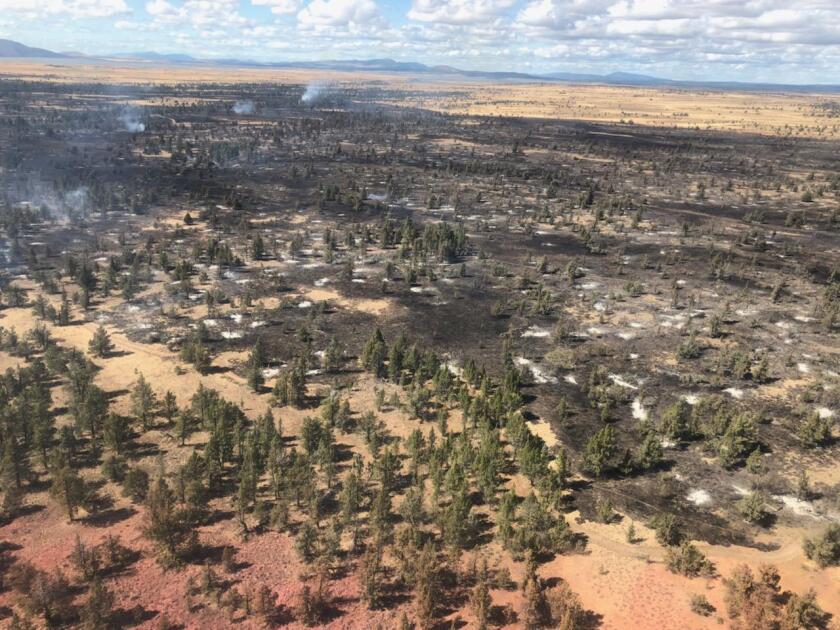 The Lone fire in Modoc National Forest