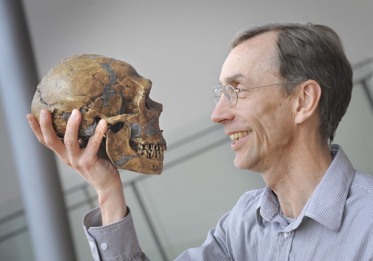 Swedish scientist Svante Paabo holding a skull