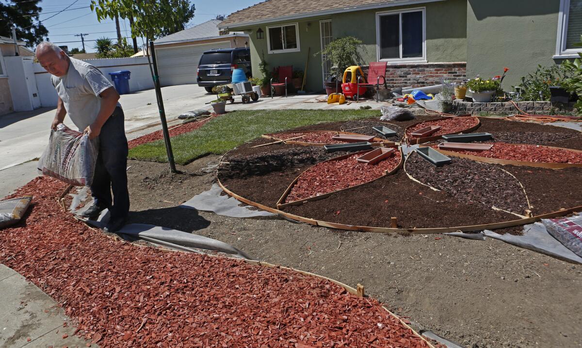 Richard Delgado, 65, replaces most of the turf in his front yard with three different colors of bark in June. He was denied the rebate because he had not taken before photos before his grass died.