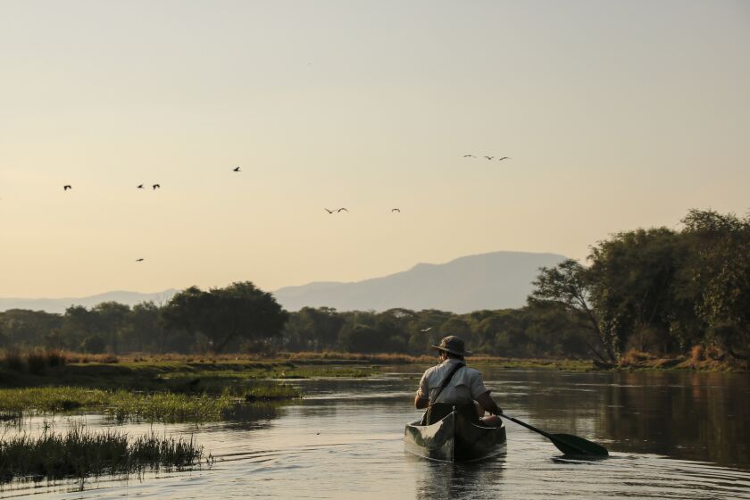 Sausage Tree Camp head guide and manager Ryan Wilmot paddles with Carlyn Romeyn during a calm moment in the Chifanoa Channel. The eight-plus mile waterway is packed with pods of hippopotamus, parades of elephants and scores of birds.