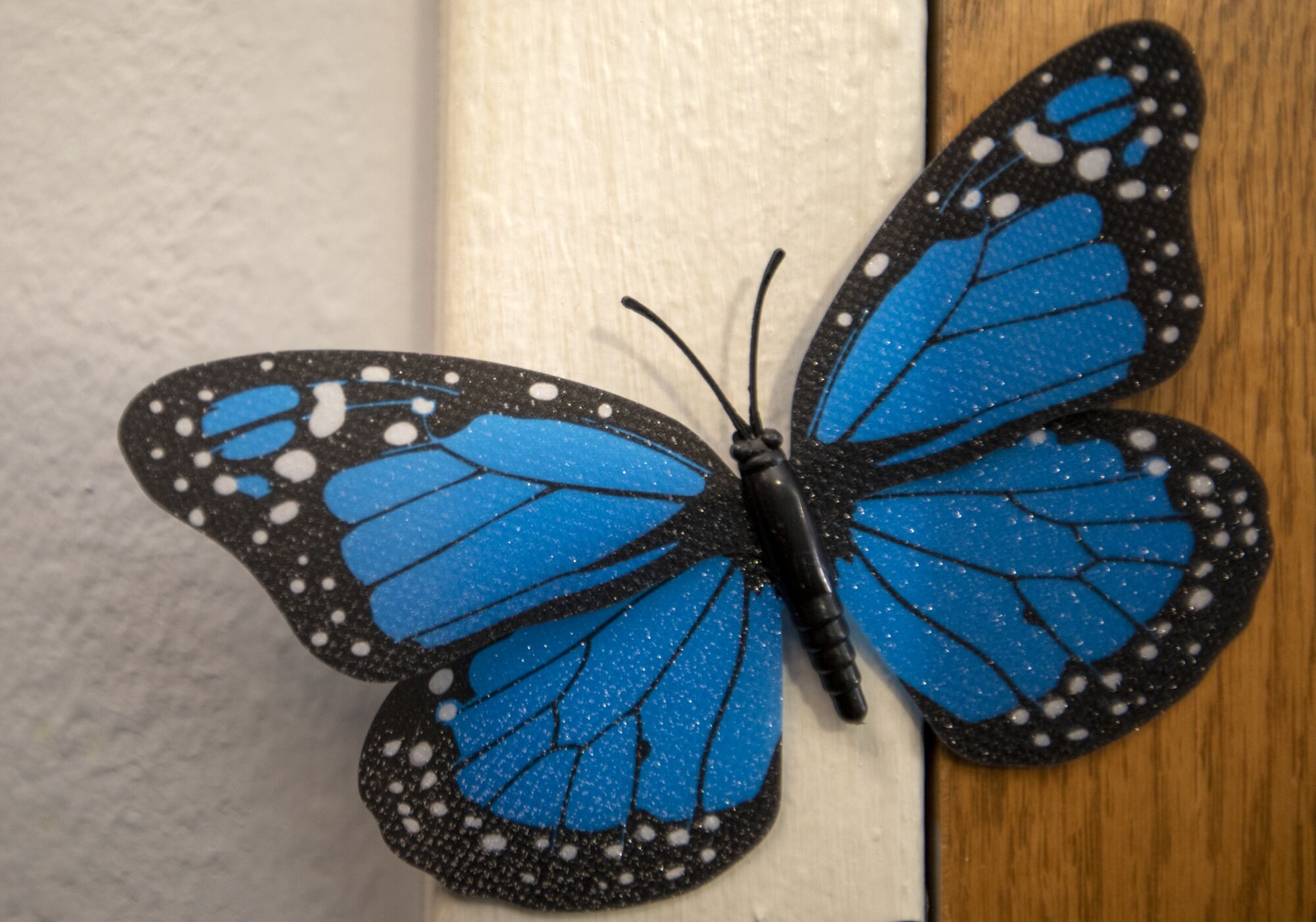 A blue plastic butterfly affixed to the door of a room at the Inn Between in Salt Lake City.