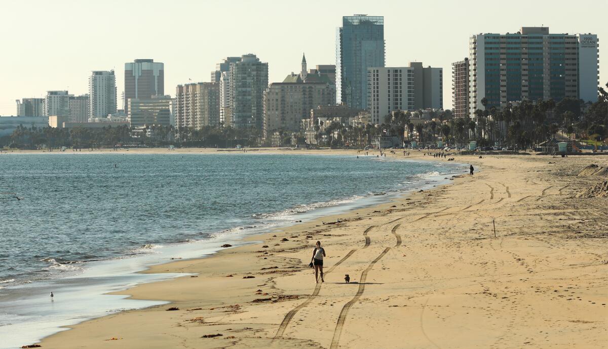 Una persona y un perro caminan por una orilla arenosa con el horizonte de Long Beach al fondo.