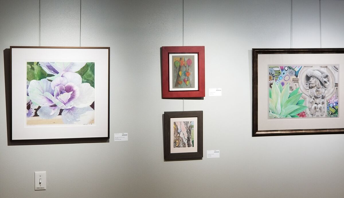 Some of the colored pencil artwork in the 2022 Members Show on display in the Taylor Gallery at the Pacific Beach Library.