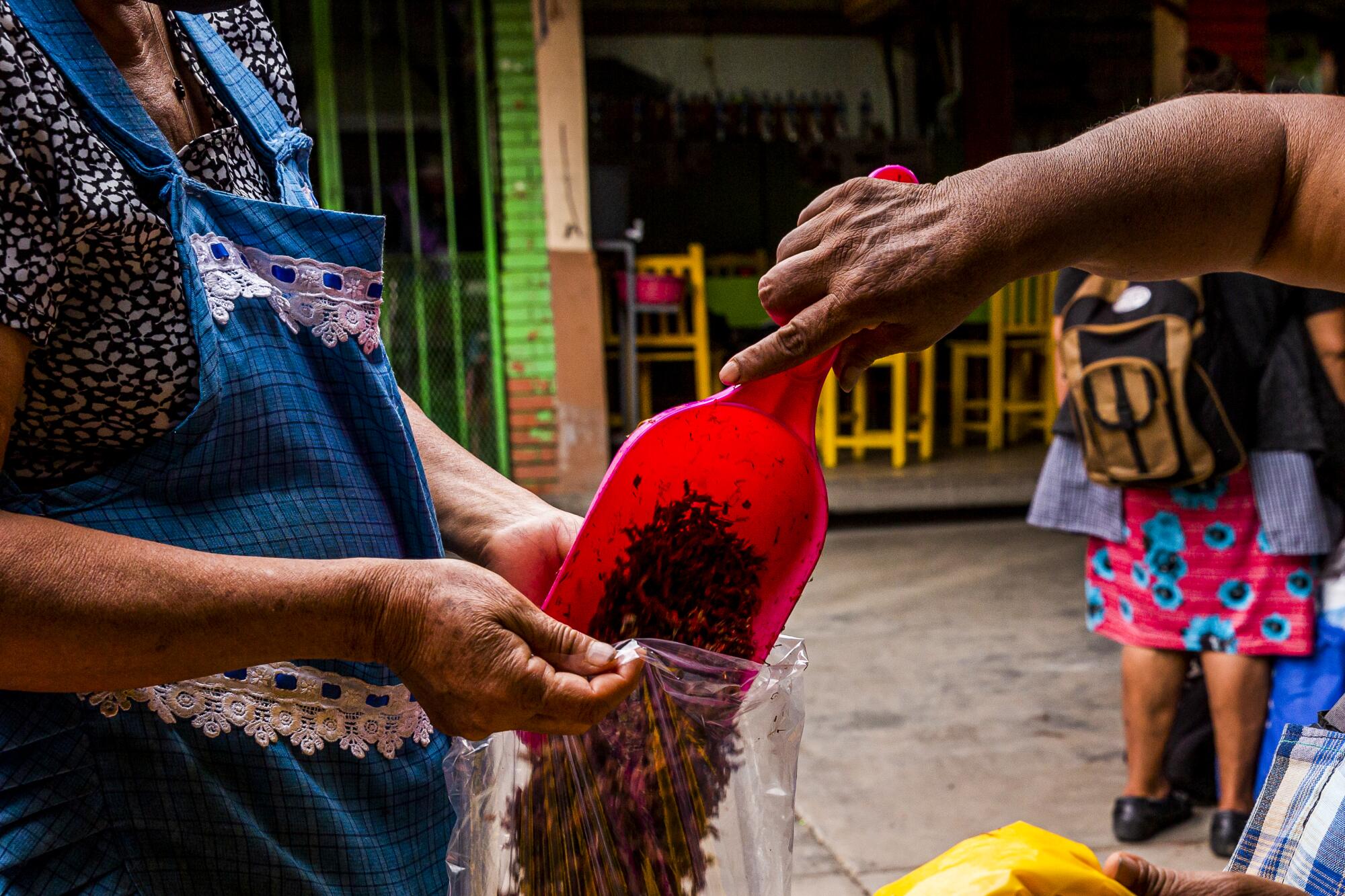 A woman scoops grasshoppers into a plastic bag for a second woman 