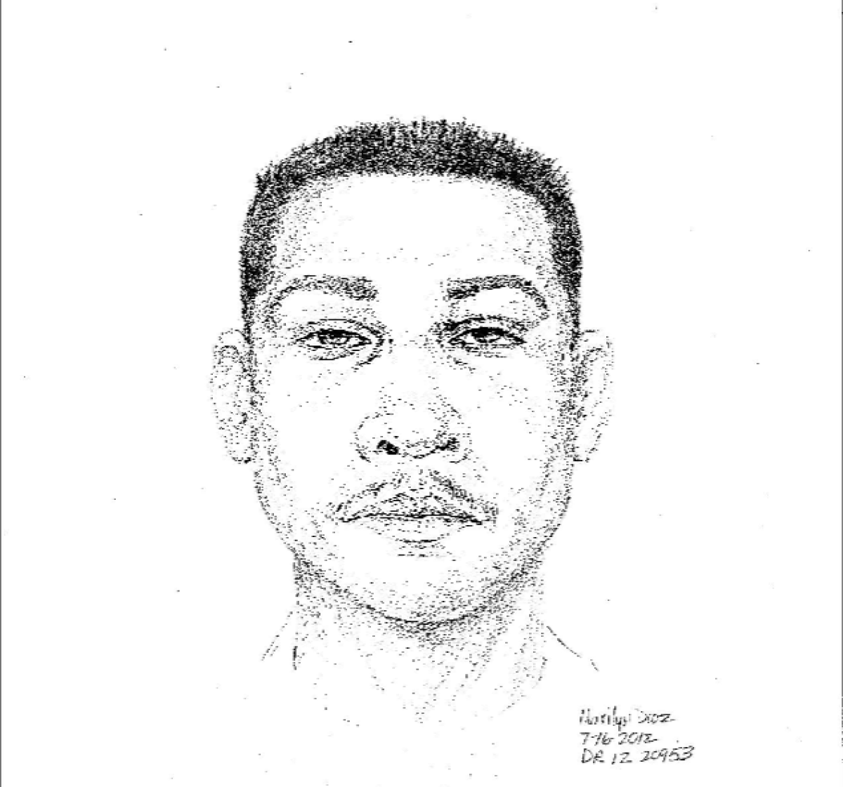Shortly after the 2012 rape, police released this sketch of the suspect.