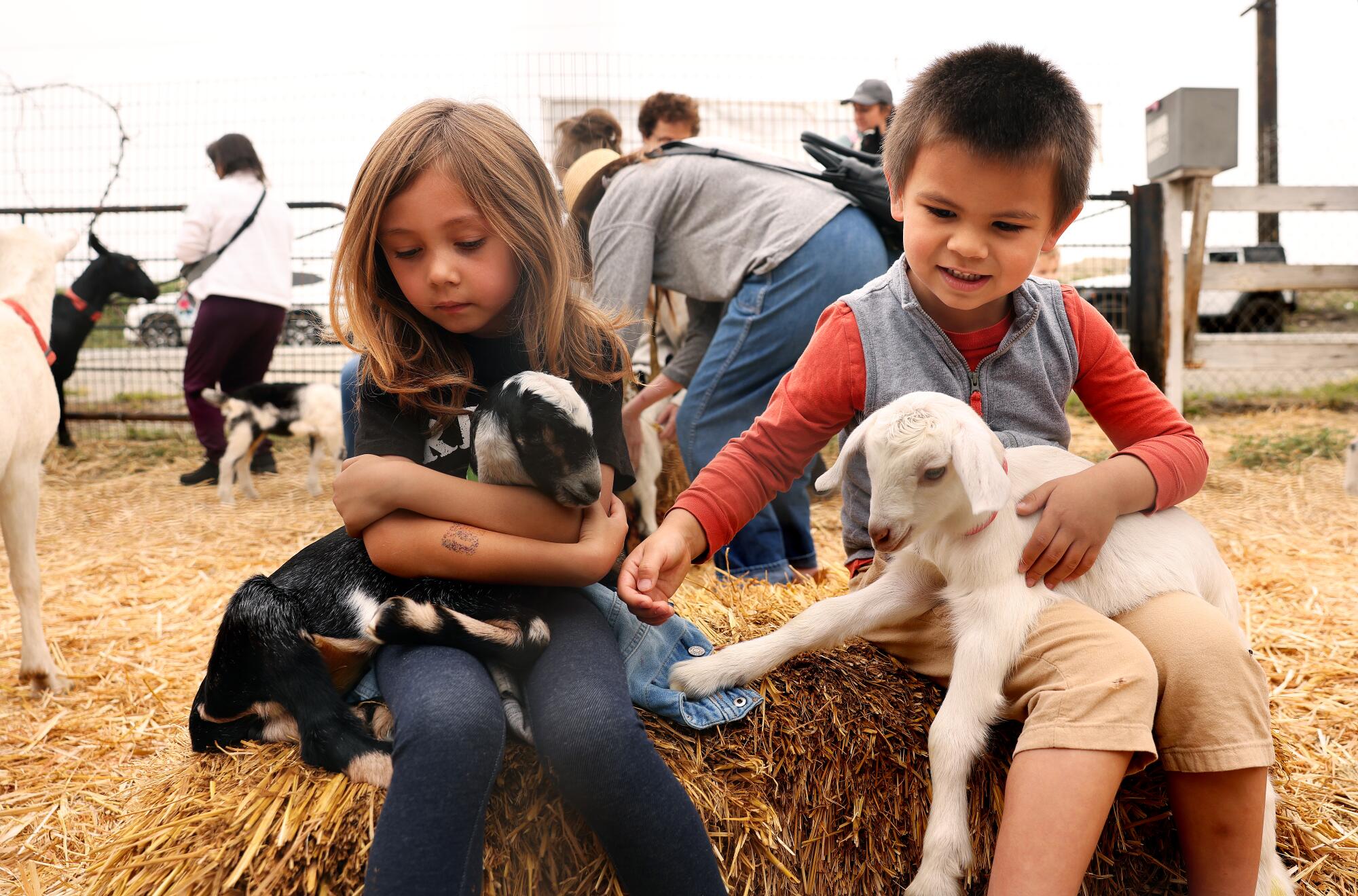 A 6-year-old and a 5-year-old hold baby goats at Drake Family Farms.