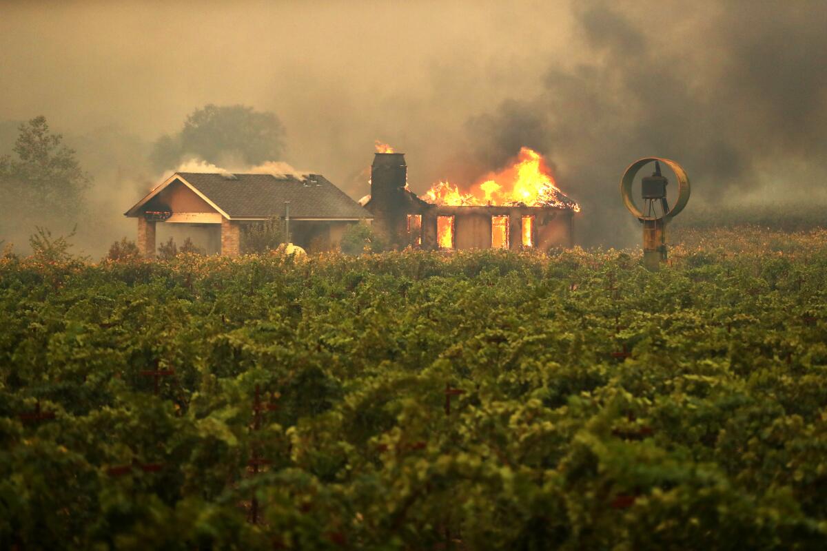 A home burns near a vineyard after the Kincade Fire burned through the area in Geyserville