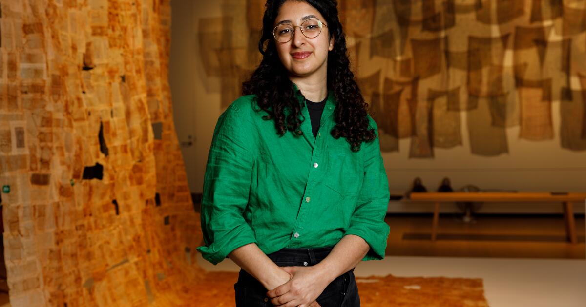 Tales of magic carpets connect to migrant journeys in Iranian-American artist's exhibit at Mingei