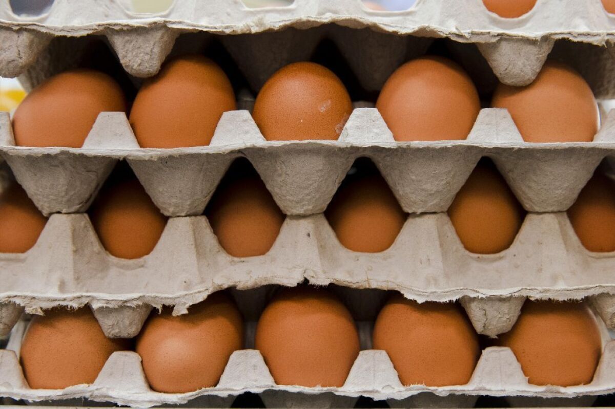 Egg prices increased across the nation as shoppers rushed to grocery stores to stock up.