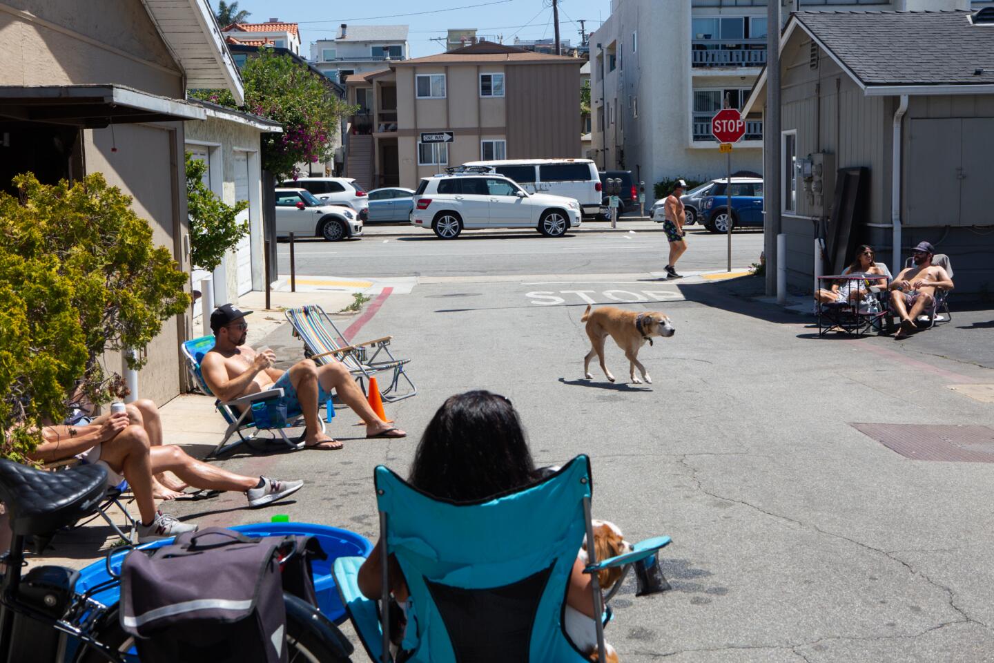 A Hollywood studio where dogs learn to fly - The San Diego Union-Tribune