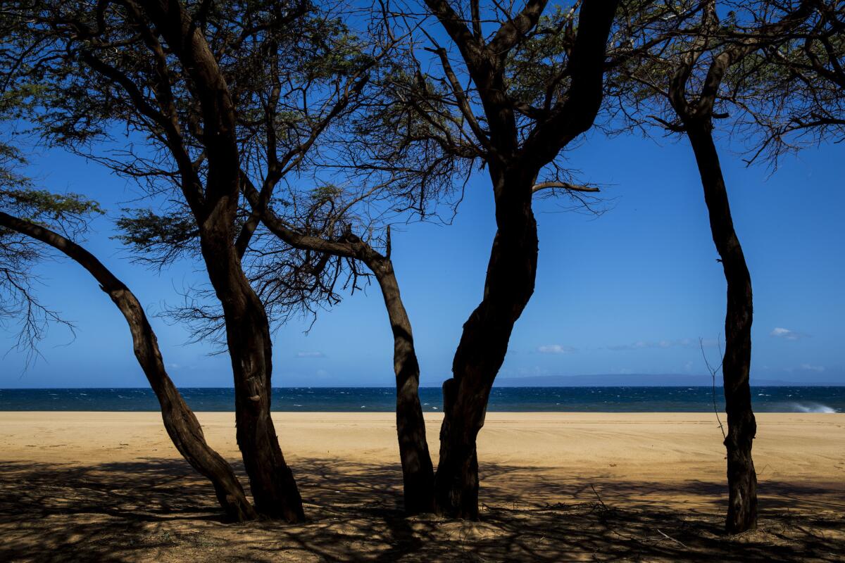 Scenic Polihua Beach in Lanai City on the Hawaiian island of Lanai.