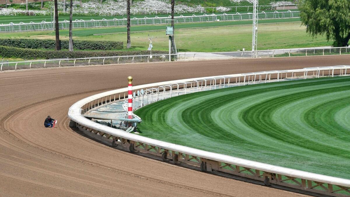 Samples and measurements are taken on the track at Santa Anita on Thursday.