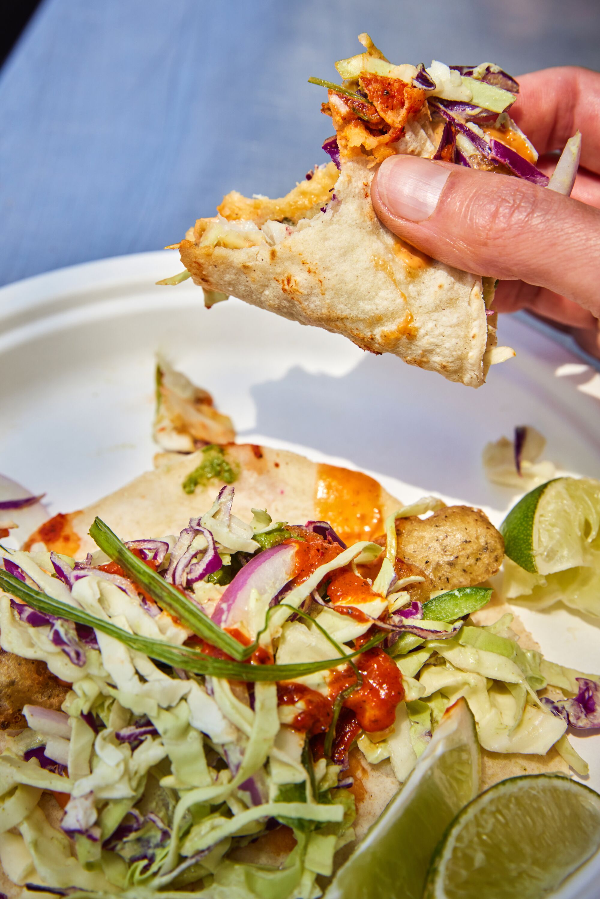 A hand holds a piece of fish taco above a plate.