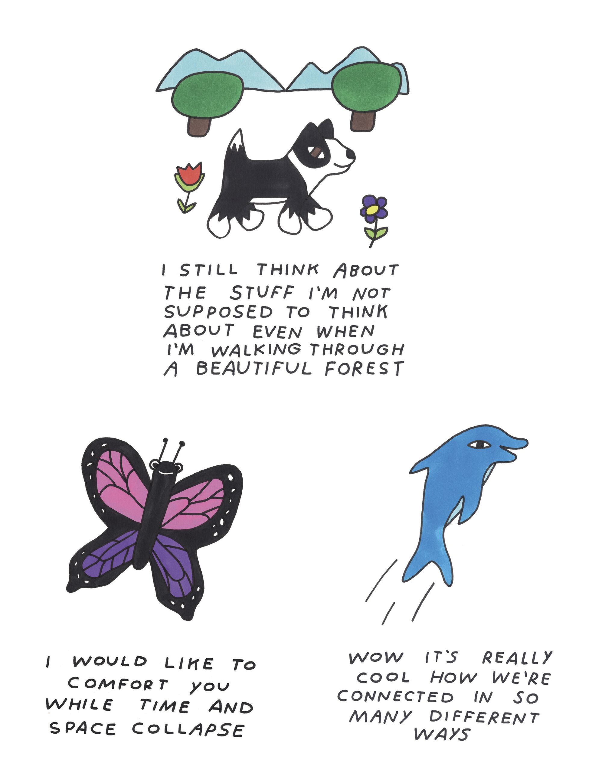 Drawings on a dog, a butterfly and a dolphin with captions.