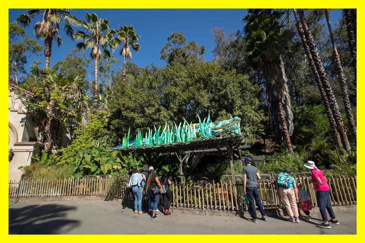 People stand before an area of the Los Angeles Zoo, featuring trees, slated for redevelopment. 
