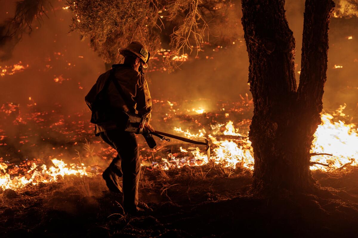 A firefighter stands with tools in hand near flames in a wooded area