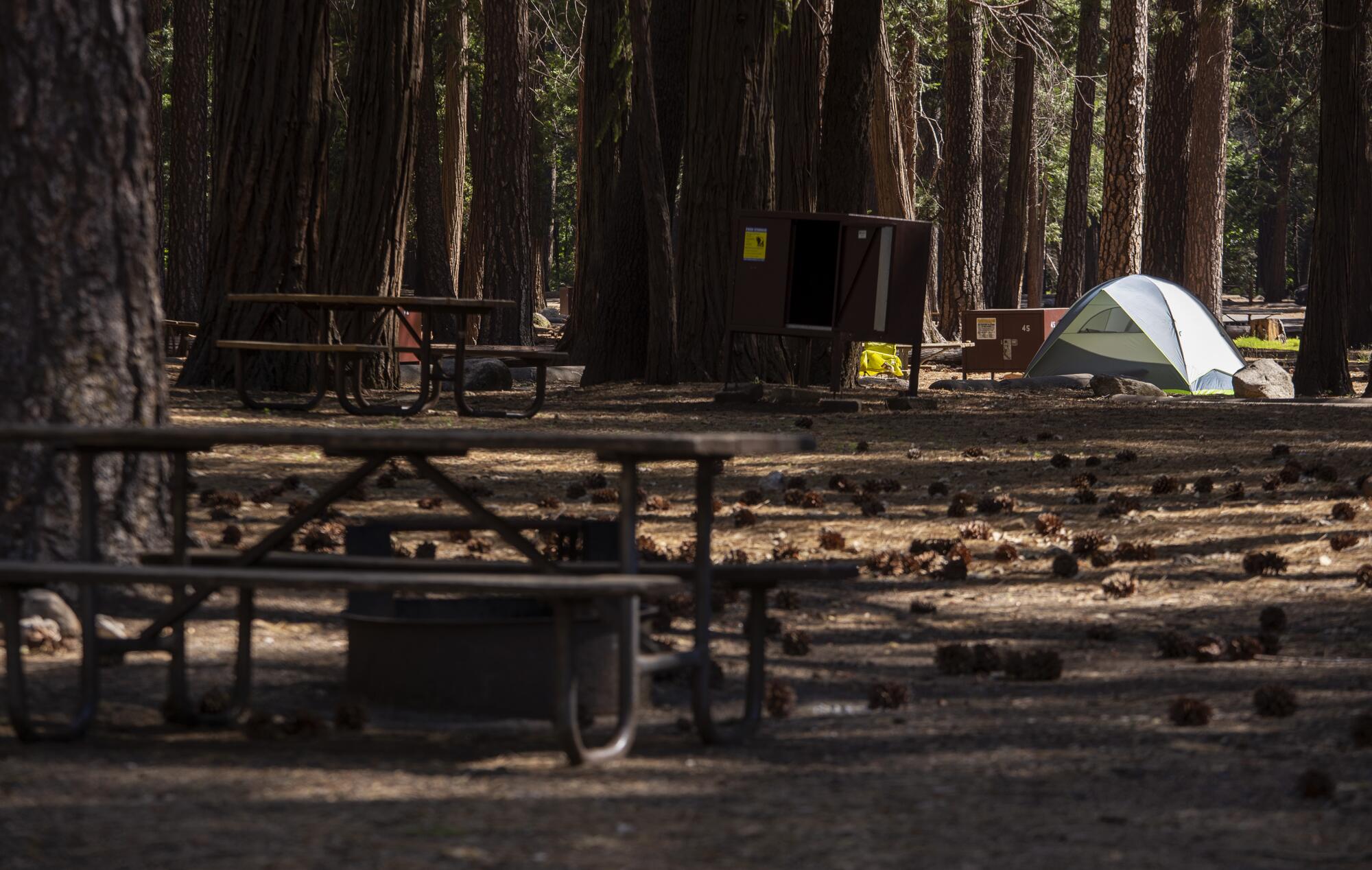 A lone tent in Yosemite Valley's Upper Pines Campground, where less than a dozen campsites were occupied.