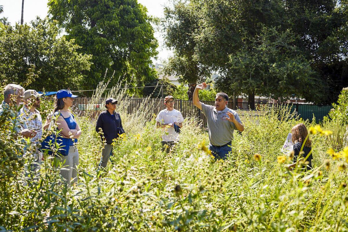 A man raises his hand in a lush field of grass. 