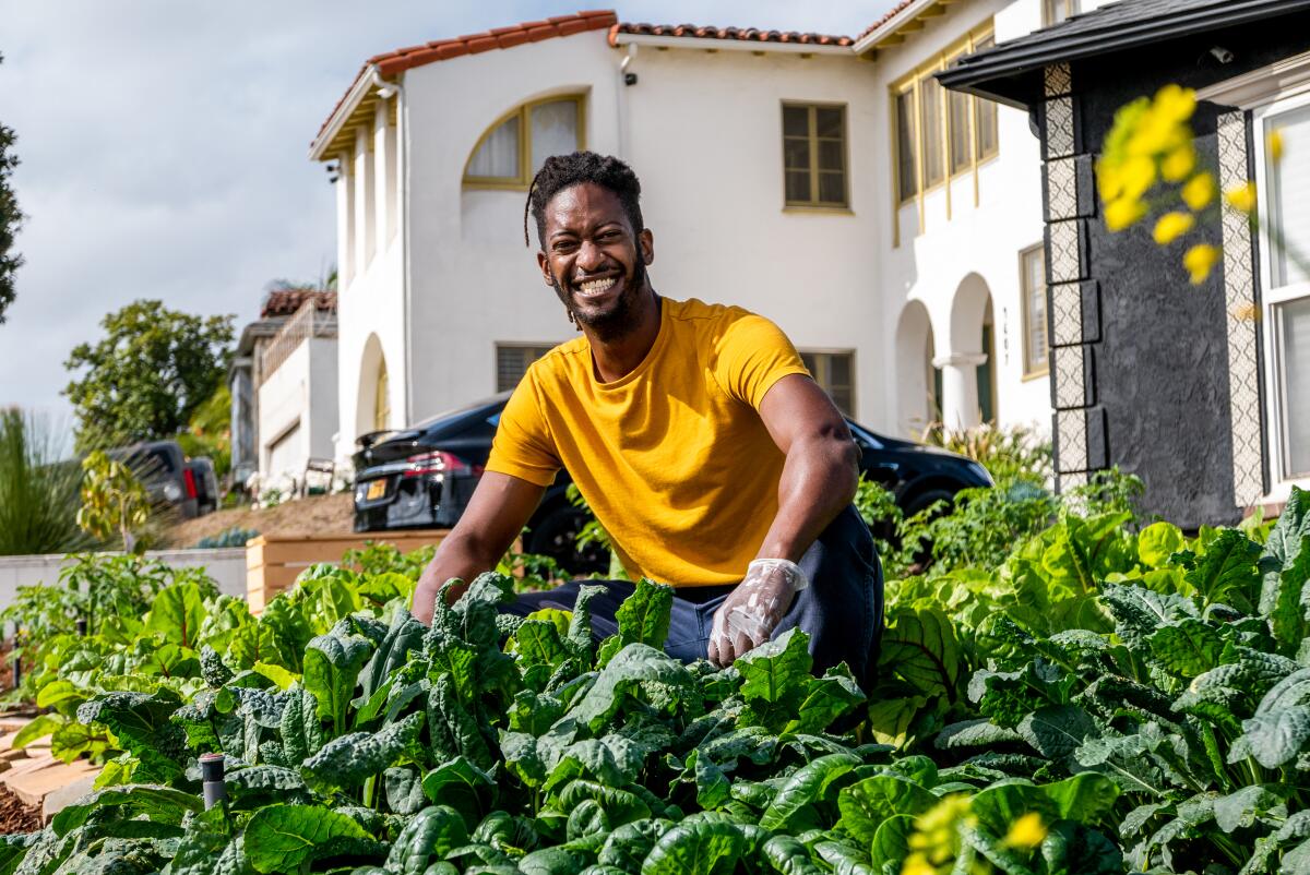 A man crouches in a bed of green vegetables