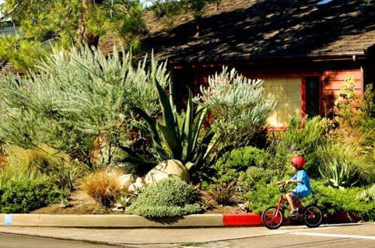 Two gardens, one idea: Drought-tolerant doesn't have to mean dull - Los