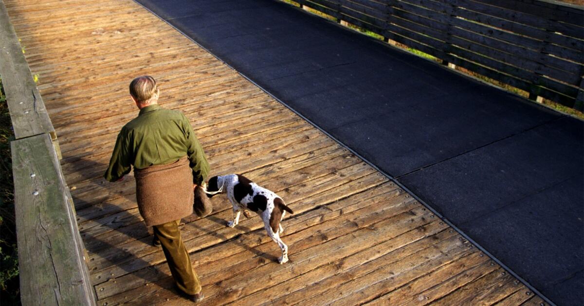 Walk now to walk through arthritis later