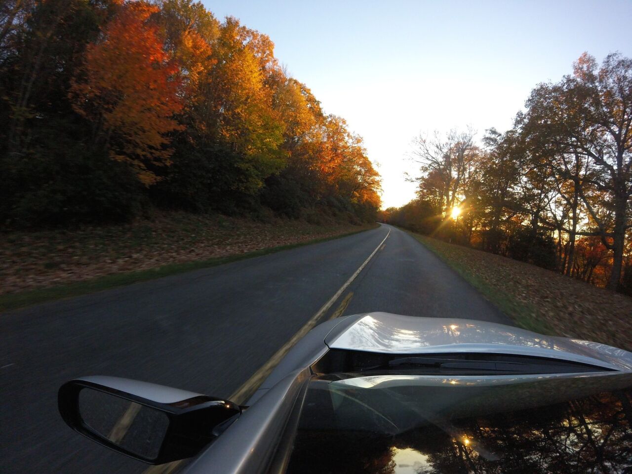 A car-mounted GoPro camera catches late light Oct. 21 on a stand of trees near Cranberry, N.C.