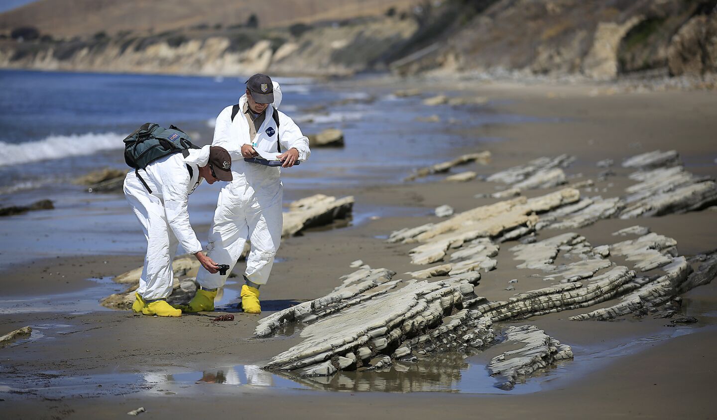 Scientists from the California Department of Fish and Wildlife and the UCSB Marine Science Institute conduct natural resource damage assessments in the aftermath of the oil spill on the Gaviota coast.