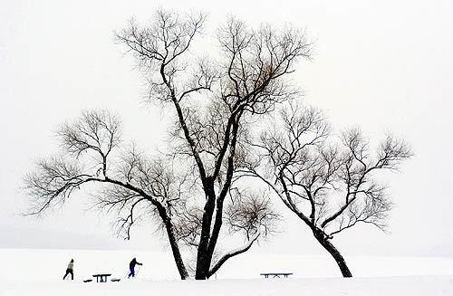 A major ice storm blasted the nation's midsection this week, leading to power outages, school closings, canceled flights and at least 24 deaths. The news wasn't all glum, however: Cross-country skiers took advantage of the snow to trek along Lake Wingra in Madison, Wis., on Tuesday.
