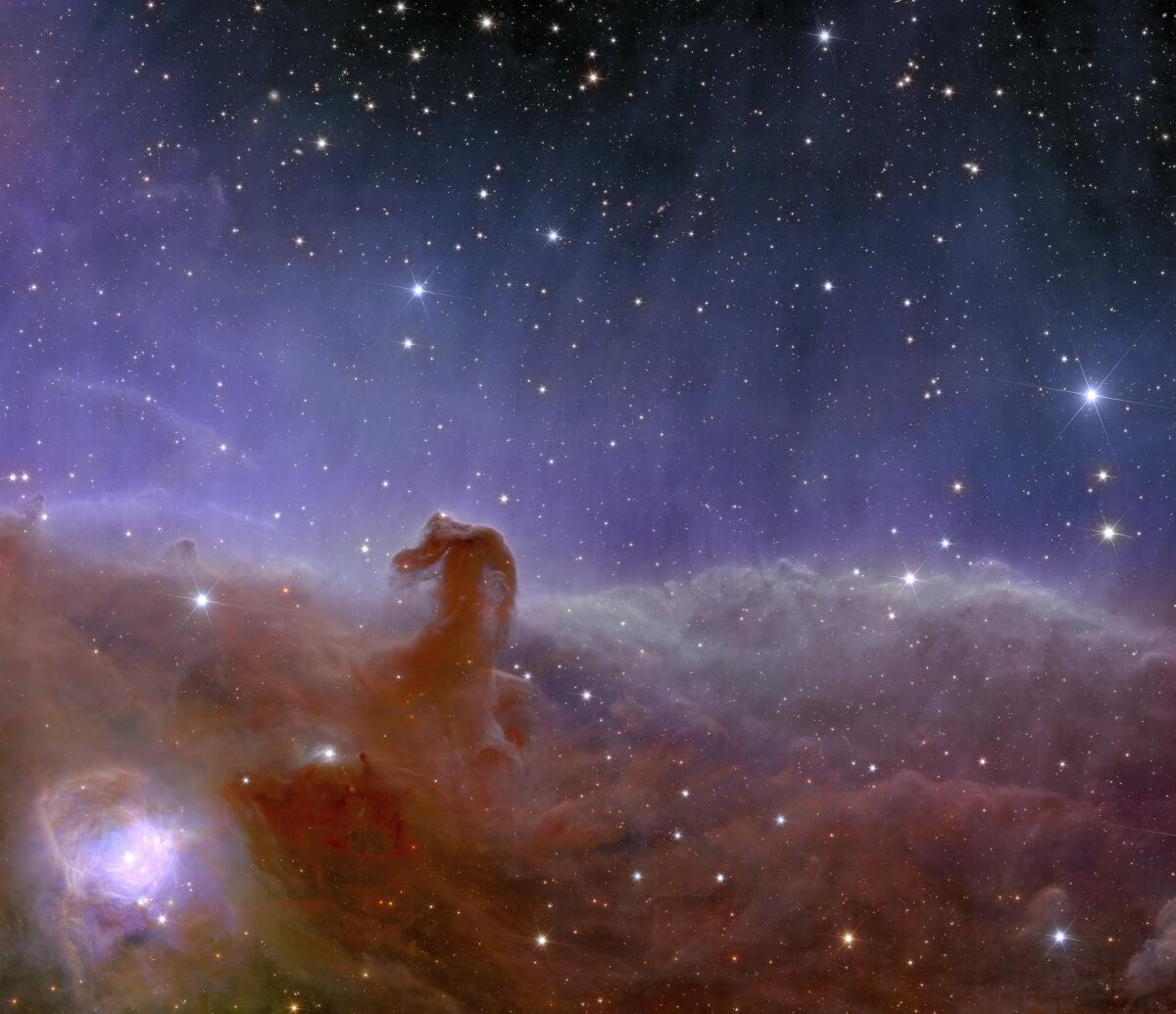 A panoramic view of the Horsehead Nebula as seen by Euclid, the European Space Agency's new space telescope.