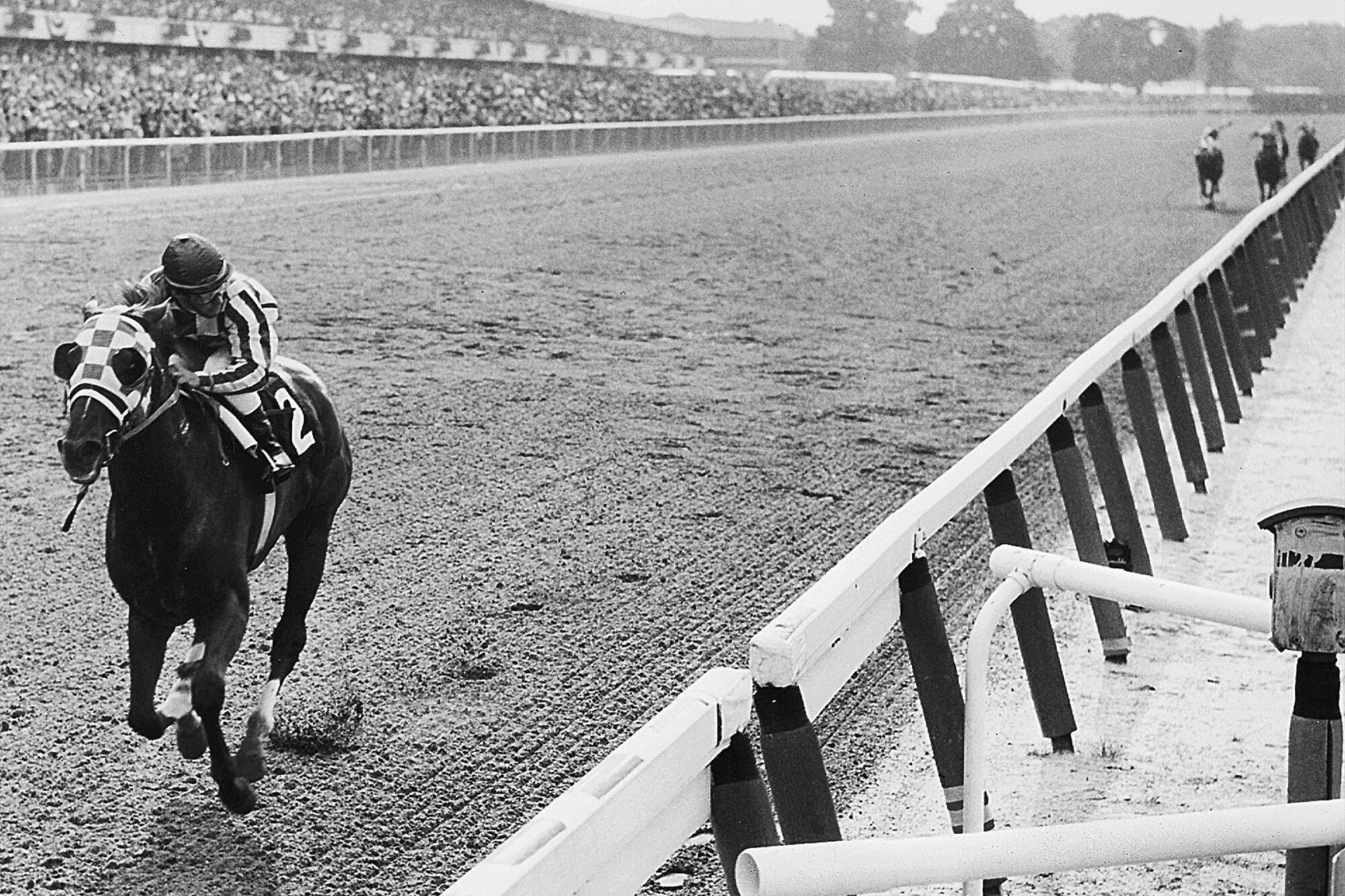 Secretariat approaches the finish line to win the 1973 Belmont Stakes by a record 31 lengths. 