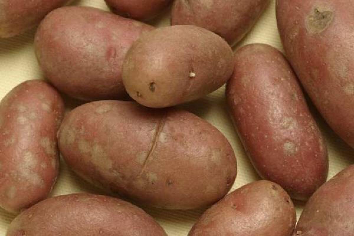 Potatoes should be stored in a dark, cool and well ventilated environment.
