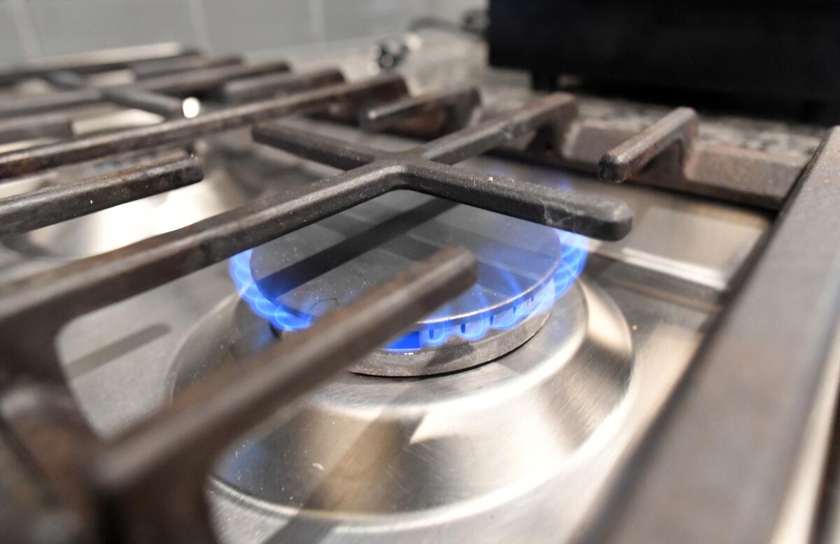 Blue flames rise from a burner on a gas range.