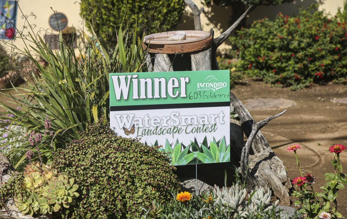 "Winner" sign in a front yard that won the WaterSmart landscape contest.