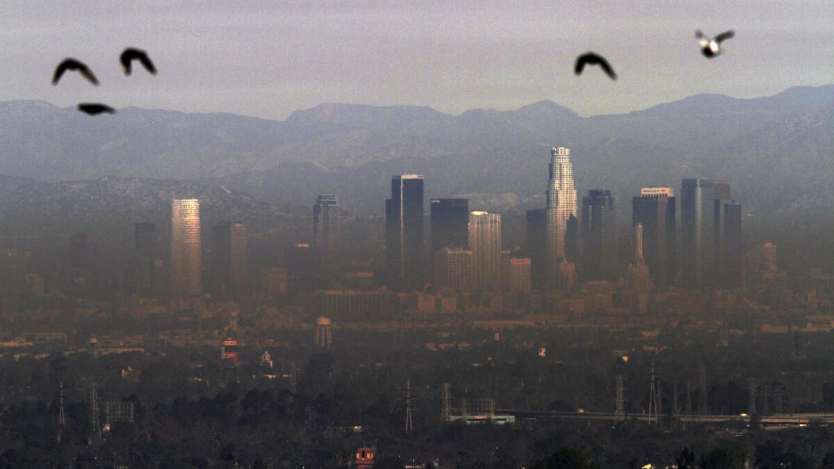 A view of downtown Los Angeles from Hilltop Park in Long Beach, Calif. during the Colby fire on January 18, 2014.