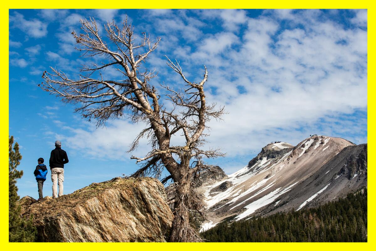 Visitors look out over Mammoth Mountain from Minaret Vista.