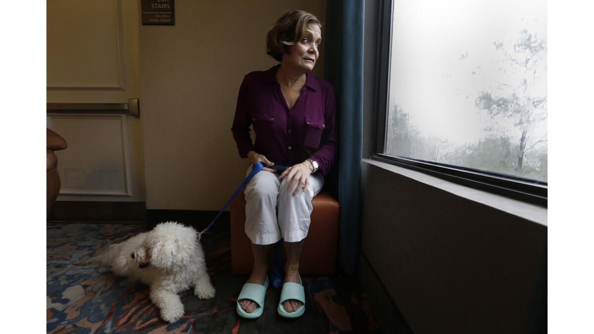 Maria Koenig,of Estero and her dog Baeley sit by the window at their hotel where she keeps an eye on the storm.