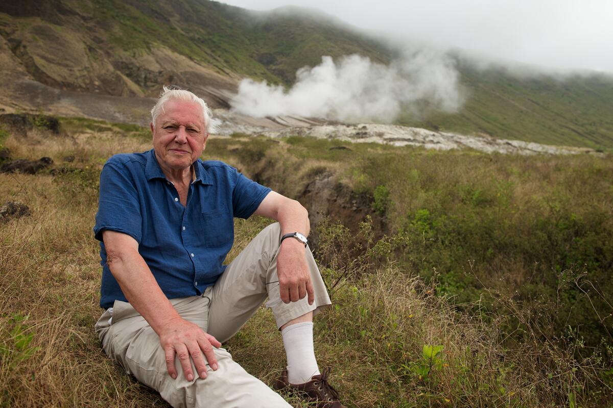 David Attenborough sits in the grass with one leg stretched in front