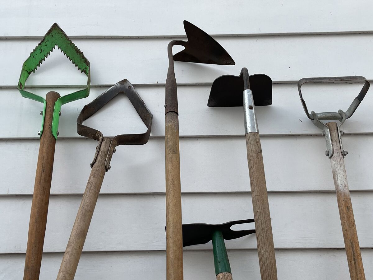 A collection of six styles of garden hoes used for weeding and digging. 