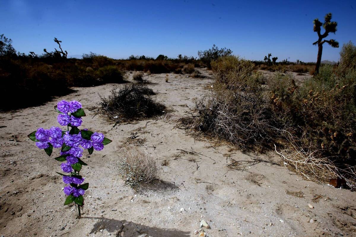 A cross of flowers still stands at the site where Pamela Devitt, 63, was killed May 9 by a pack of pit bulls in the Antelope Valley town of Littlerock.