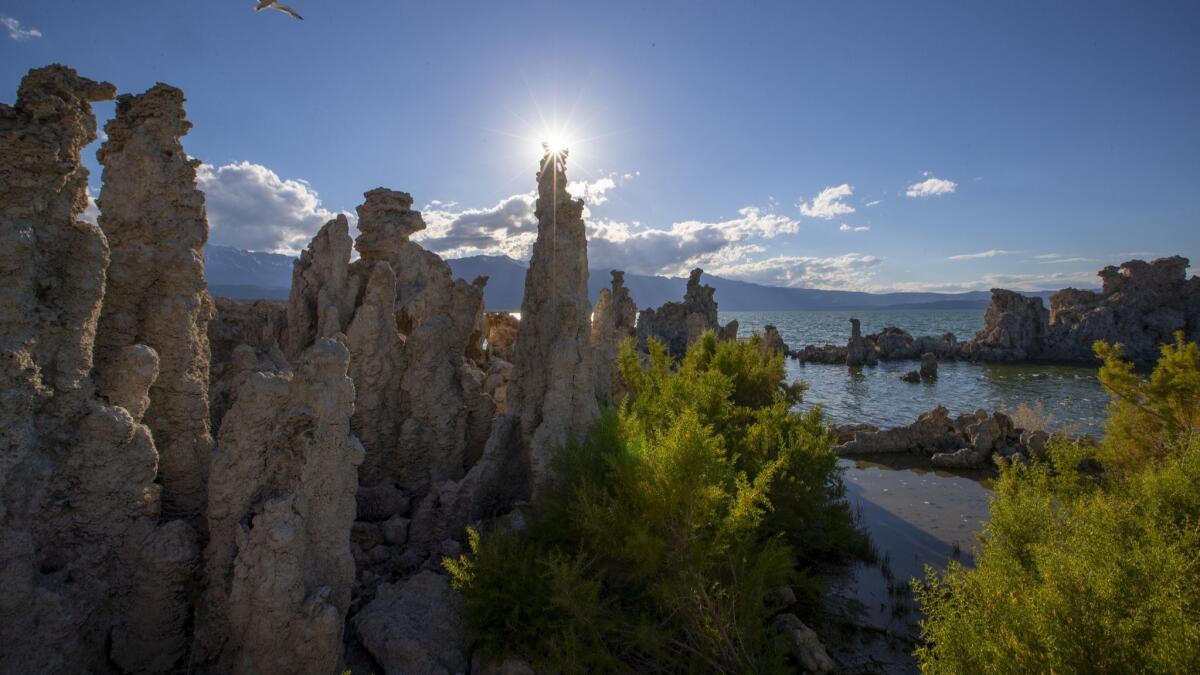 Visitors can tour the waters of Mono Lake by canoe on Saturday and Sunday before the season ends at the lake in Lee Vining, Calif.