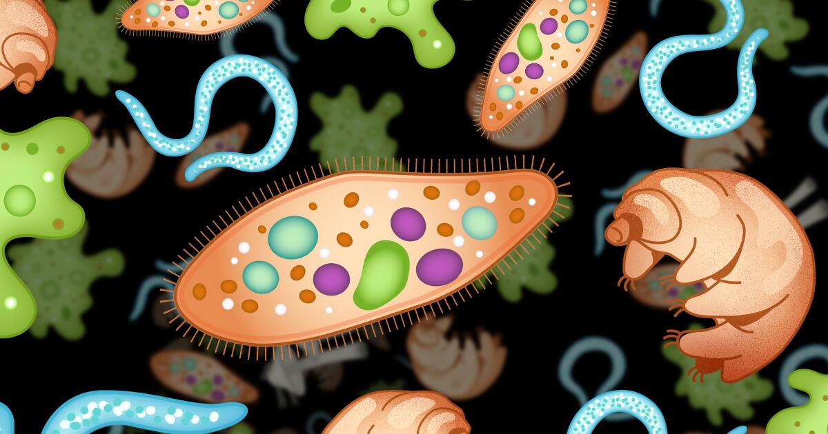 Emojis to the rescue? More are needed to address the biodiversity crisis, scientists say Emojis to the rescue? More are needed to address the biodiversity crisis, scientists say