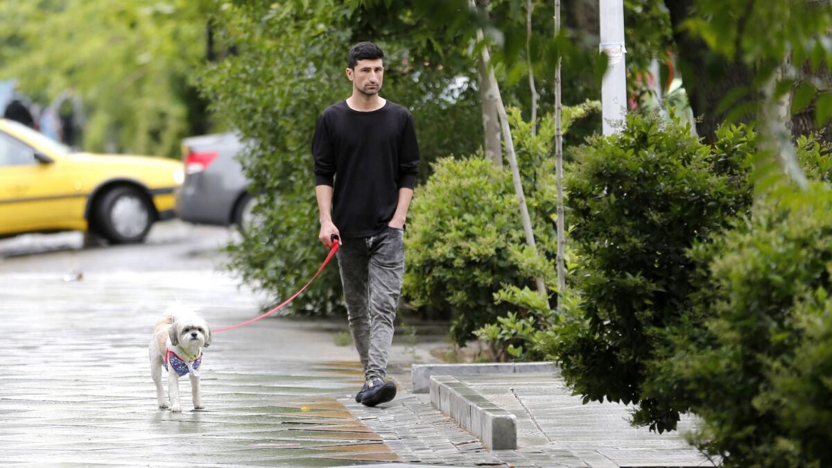 A man walks his dog in Tehran on May 9, 2018.