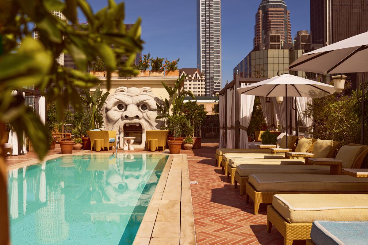 A photo of the pool and lounge chairs of Bar Clara.