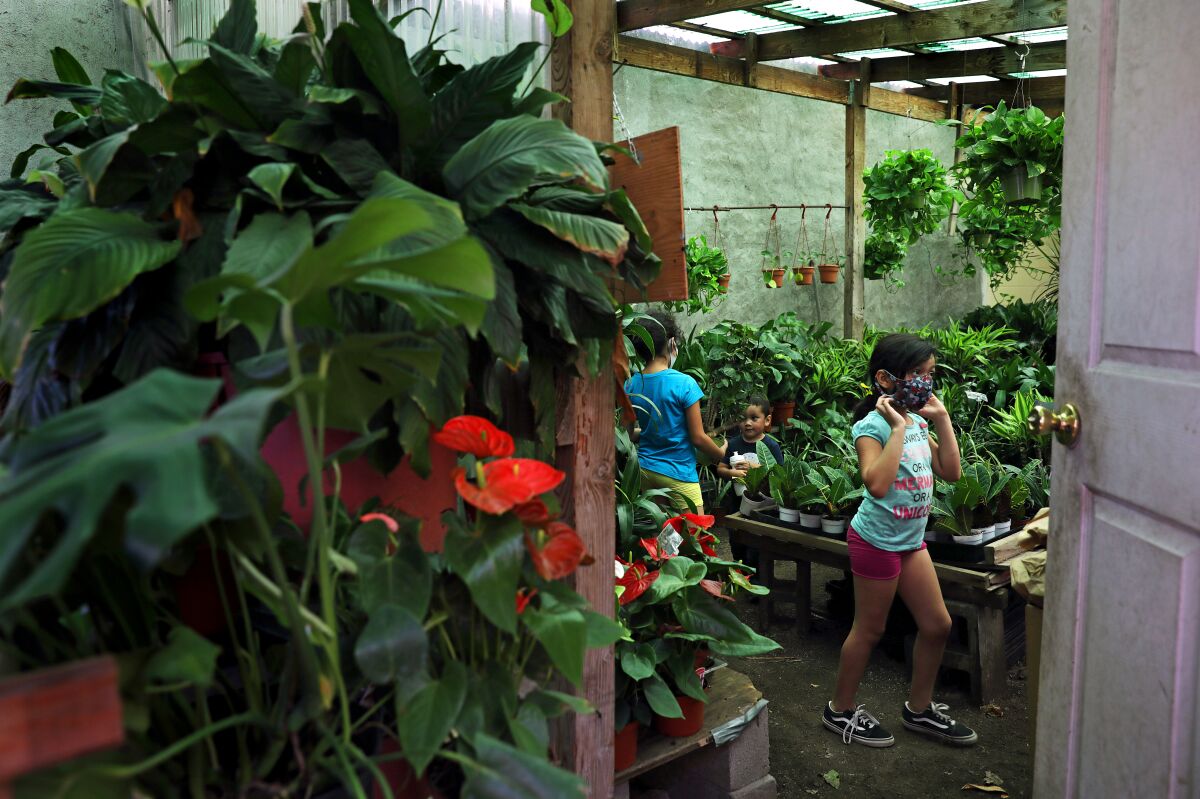 Young customers play around the "green room" where the houseplants reside at Avalon Nursery & Ceramics.