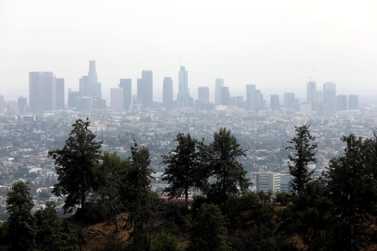 The Los Angeles skyline is shrouded in smoke from the Bobcat fire, as seen from the Griffith Observatory in Los Angeles.