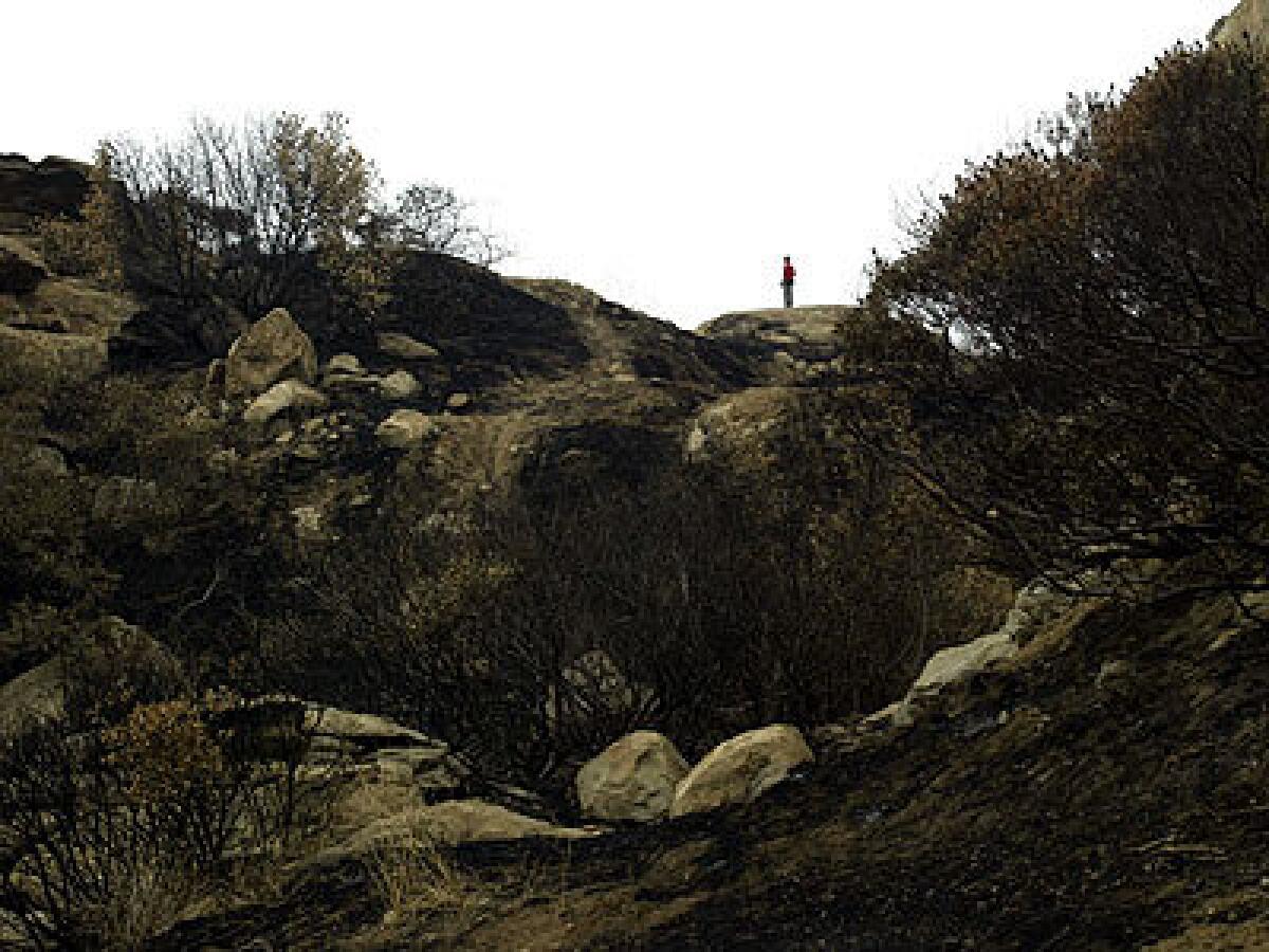 Recent fires blackened the trails terrain.